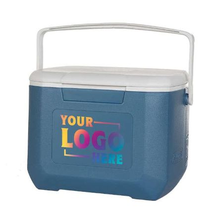 Picture for category Coolers